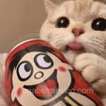 Avatar Melissa Montoya