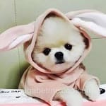 Avatar Vanessa Cortés